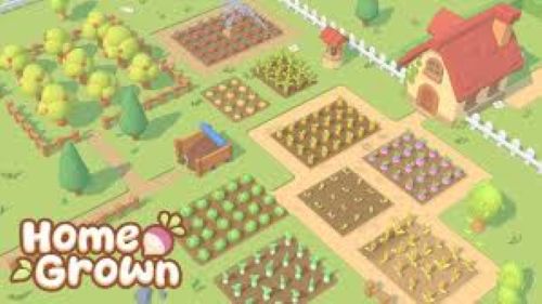 🌱 Homegrown – Zwischen entspannter Farm und ständigem Ernten